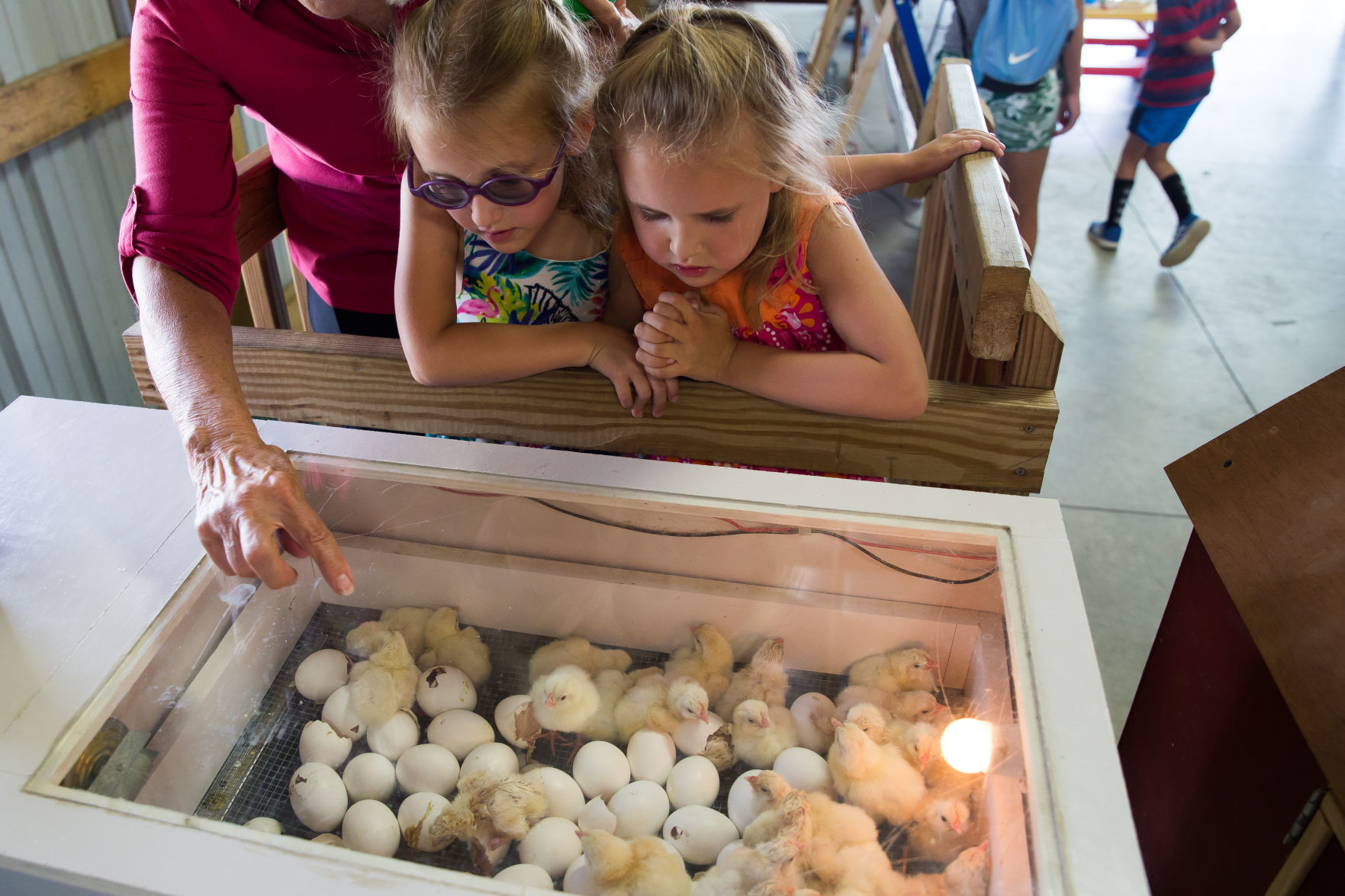 Racine County Fair 2018